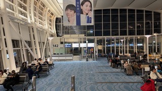 IMG_7679-4b9aa.jpeg
